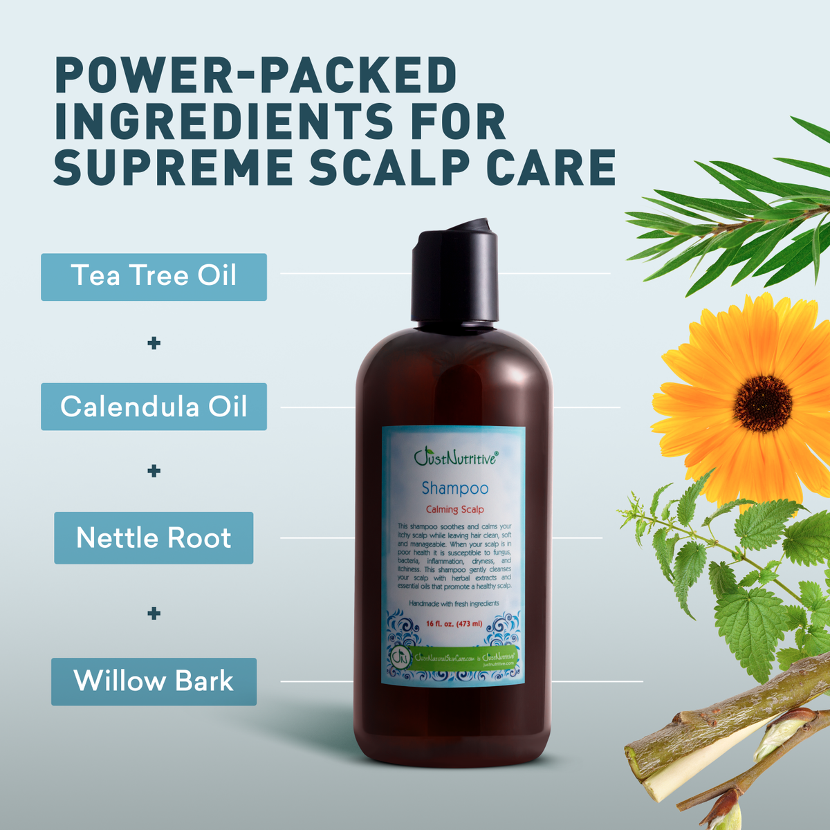 Shampoo bottle with natural ingredients on a light blue background