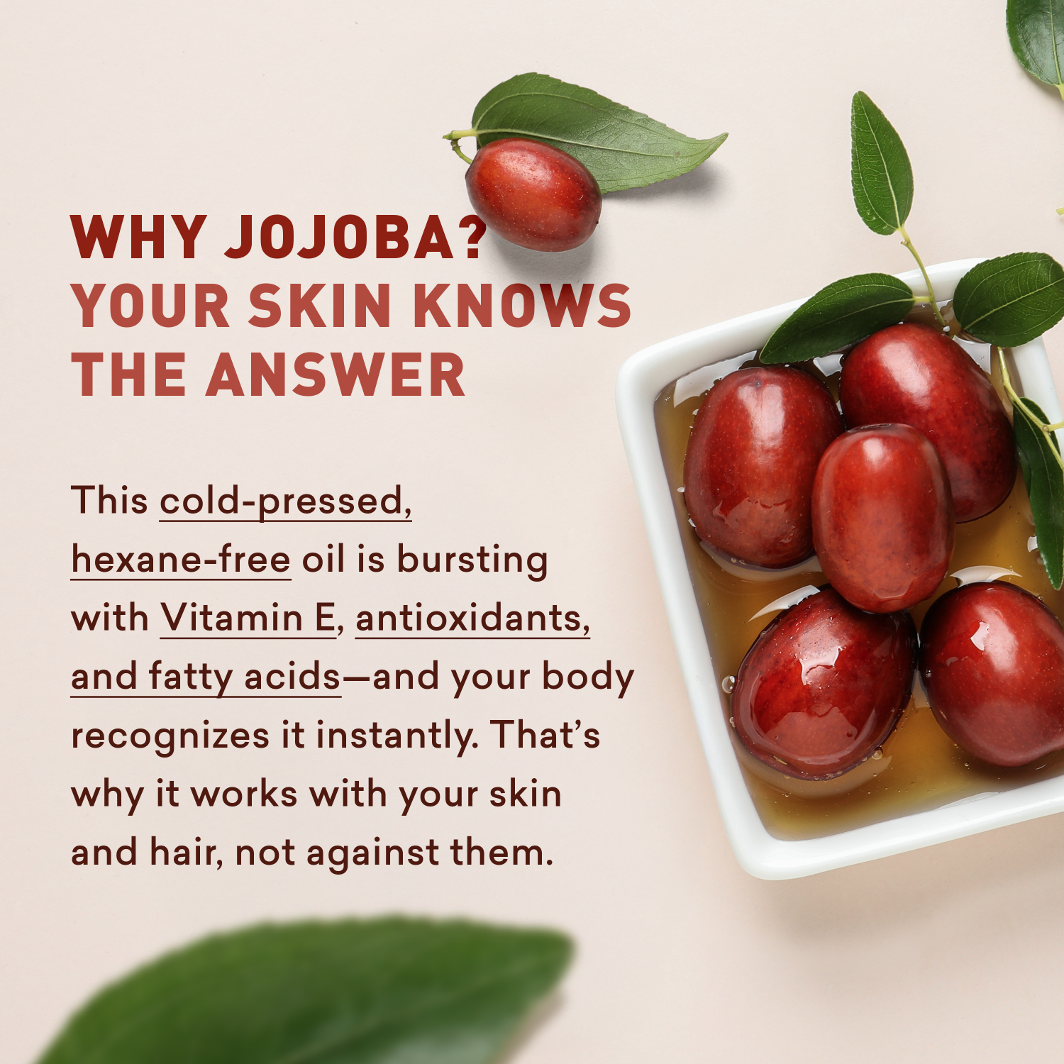 Jojoba beans with leaves and oil on a beige background, promoting the benefits of jojoba oil for skin and hair.