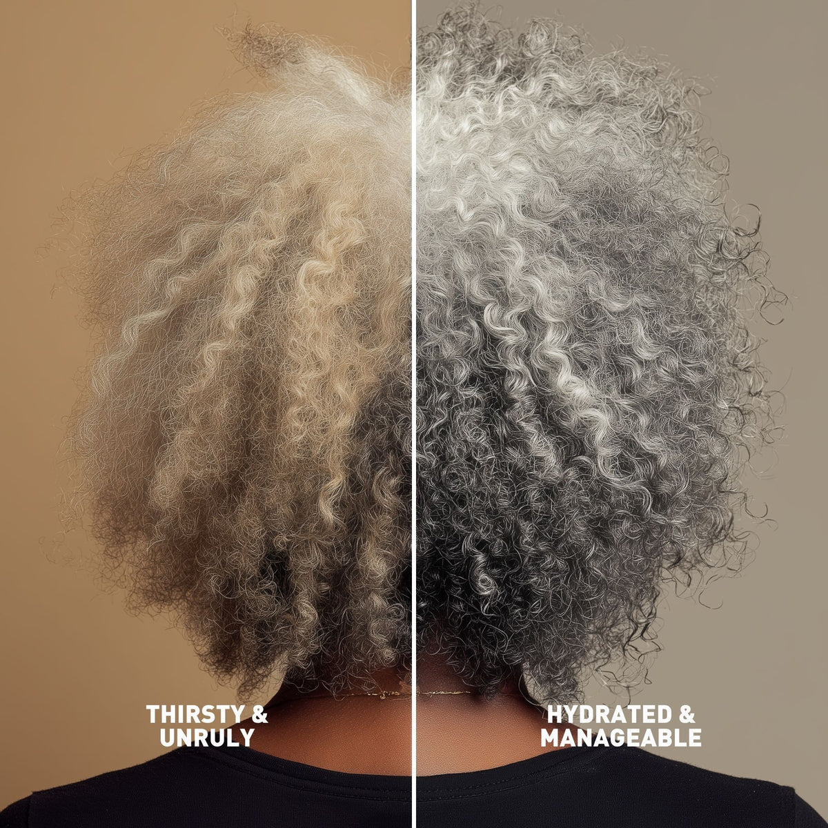 Leave in Conditioner | Gray Hair