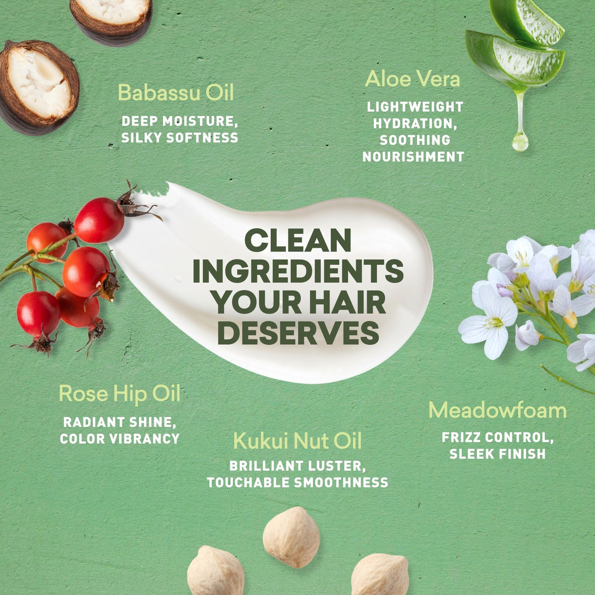 Leave in Conditioner | Gray Hair