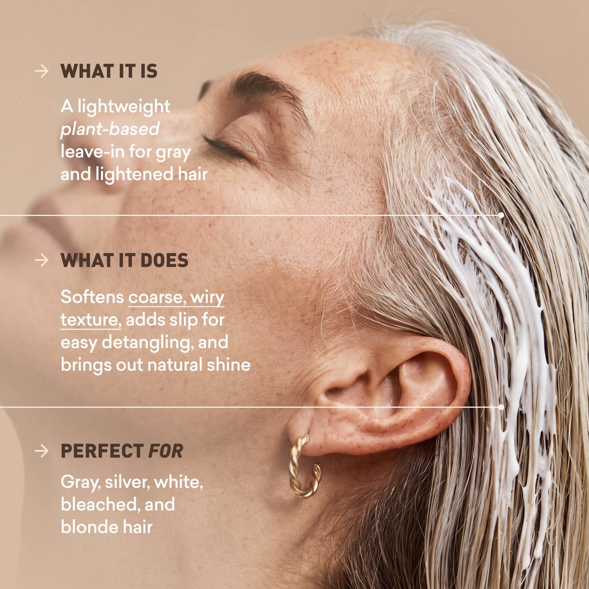 Leave in Conditioner | Gray Hair