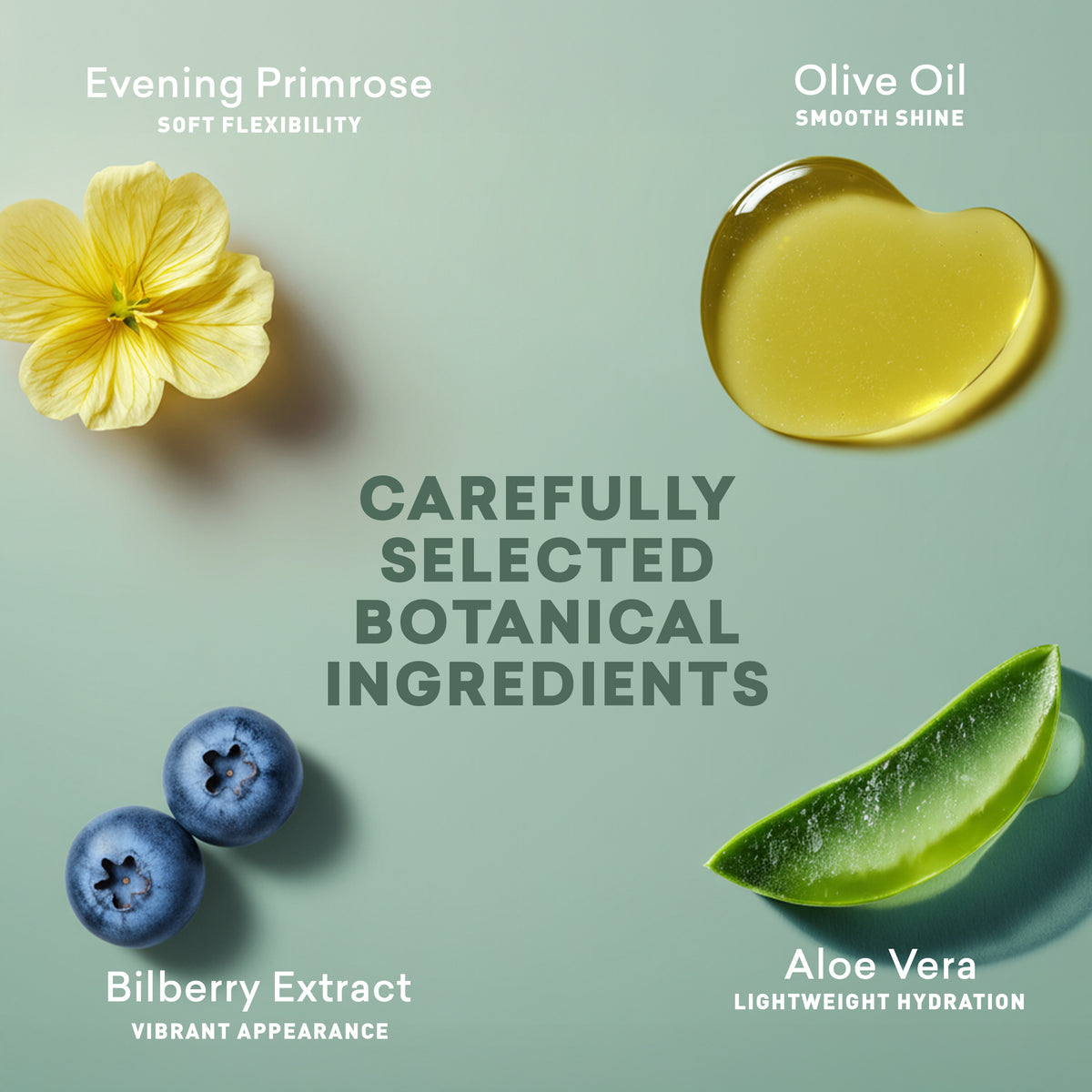 Botanical ingredients with labels on a light green background