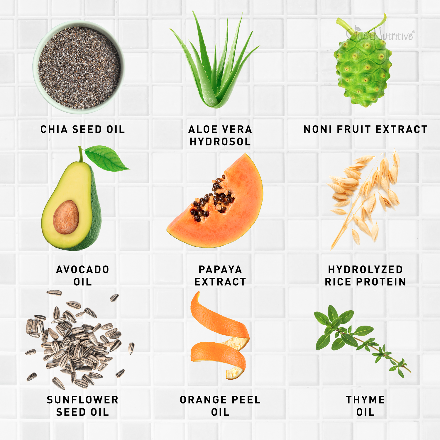 Illustrations of various ingredients with their names on a white background