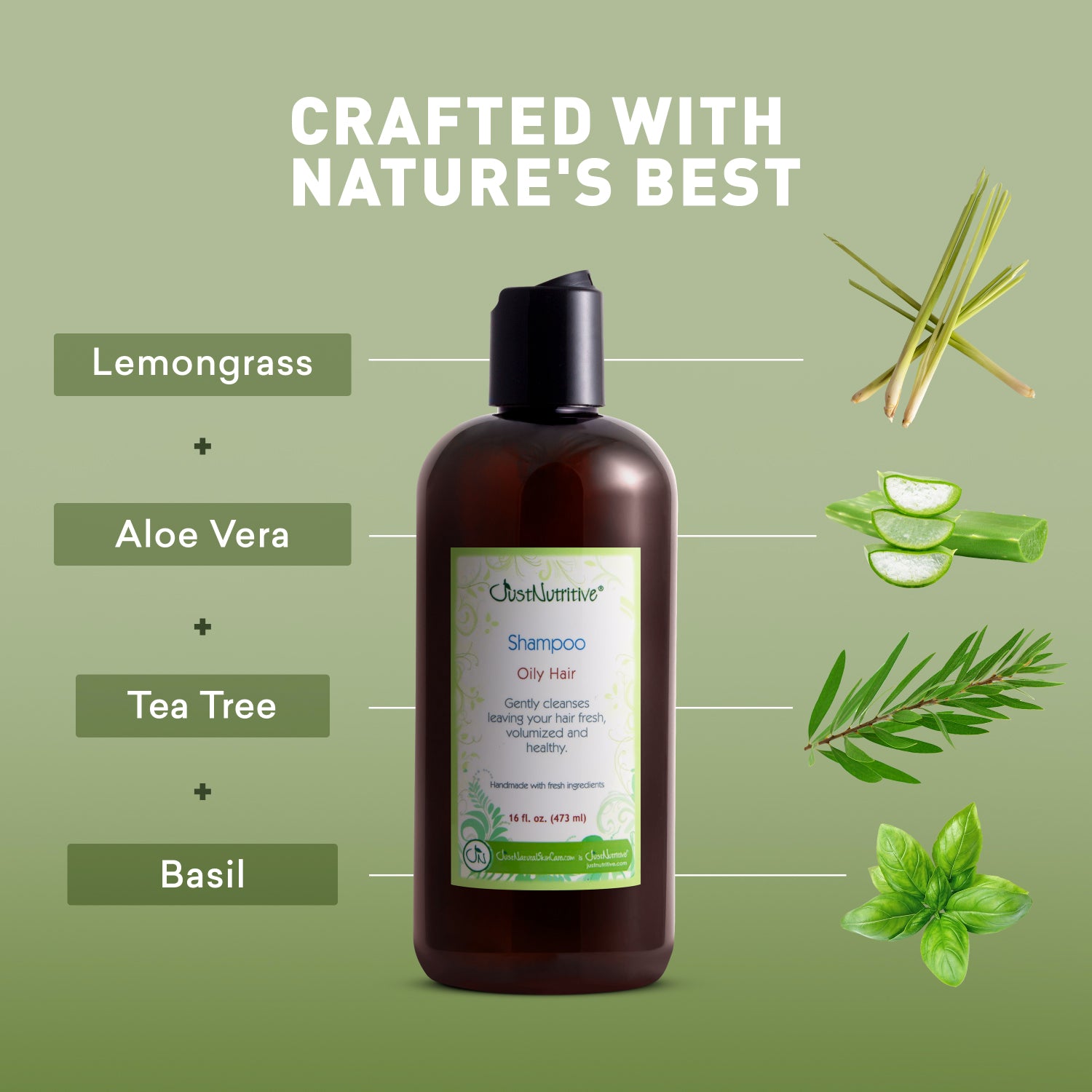 Shampoo bottle with natural ingredients on a green background