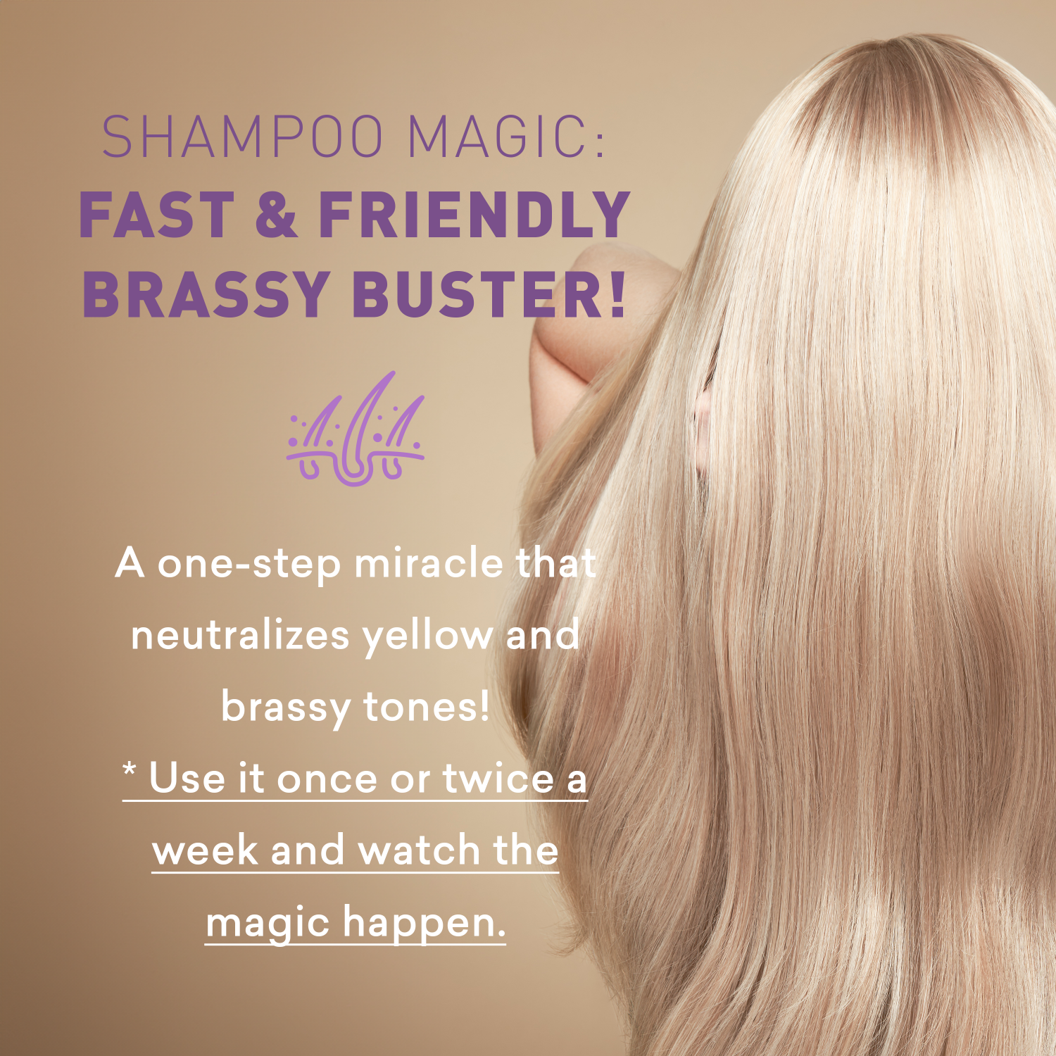 Promotional image for a shampoo product targeting brassy hair with text and a person with blonde hair.