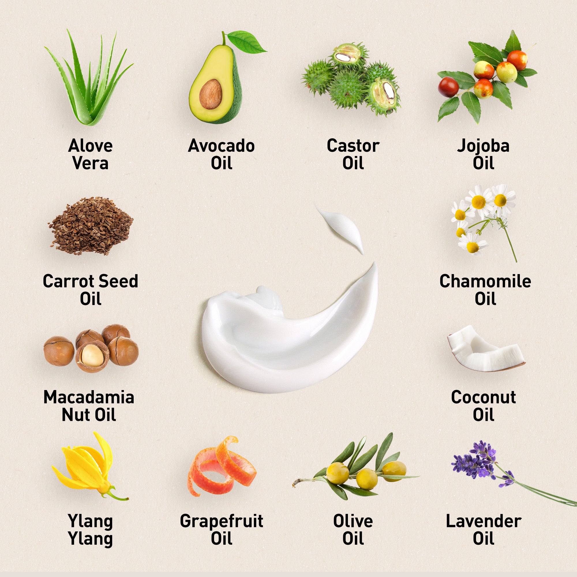 Collection of essential oils and their names on a beige background