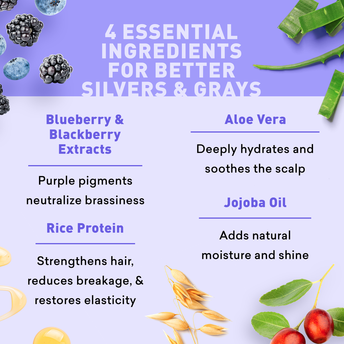 List of essential ingredients for better silvers and grays with corresponding images and descriptions.