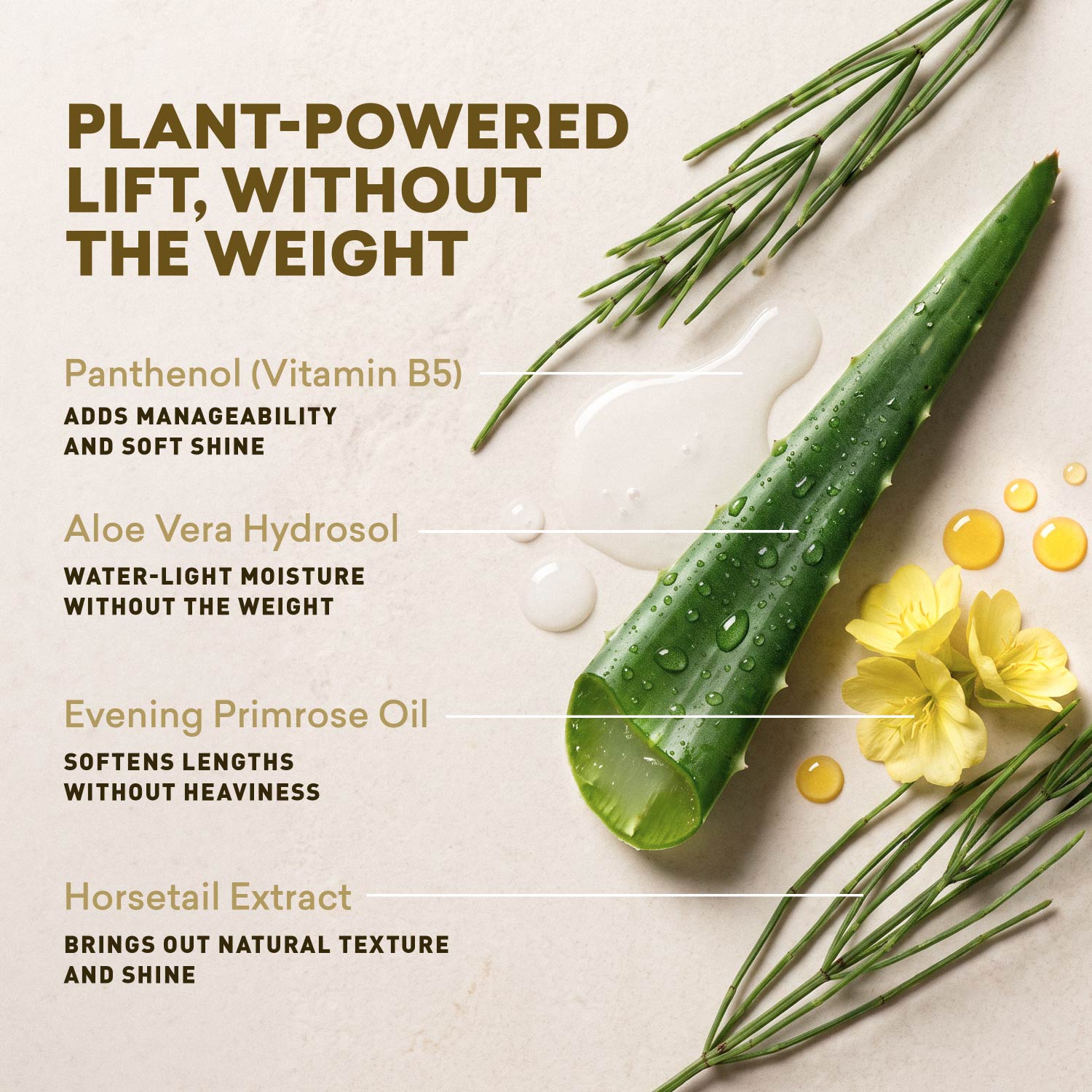 Hero ingredients in this hair volumizer spray: aloe vera, panthenol, evening primrose, and horsetail