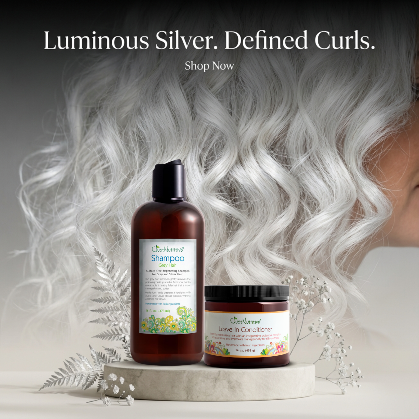Gray Hair Shampoo & Leave-In Conditioner Duo - Just Nutritive Store