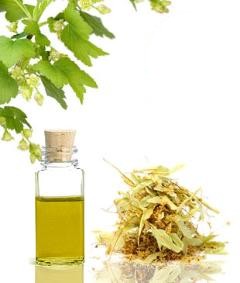 ingredients-11-260wq-240x283.jpg