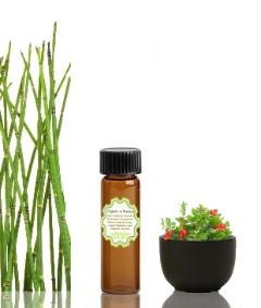 ingredients-45-260wq-240x283.jpg