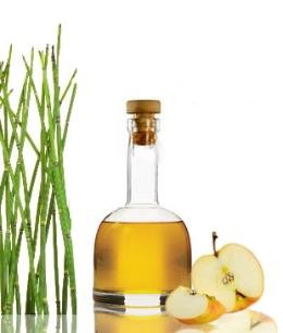 ingredients-51-260wq-260x306.jpg ingredients-51-260wq-260x306.jpg