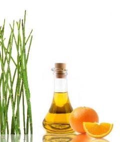 ingredients-53-260wq-240x283.jpg