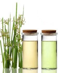 ingredients-9-260wq-240x283.jpg