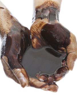oil-02-270x332.jpg